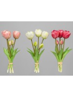 Tulpenbündel Set mit 5 Stück