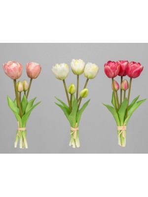 Tulpenbündel Set mit 5 Stück