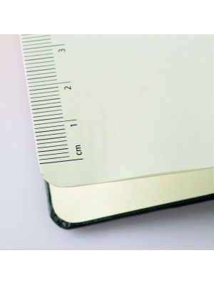 Brunnen Notizbuch Kompagnon 10-55 228 05 kariert