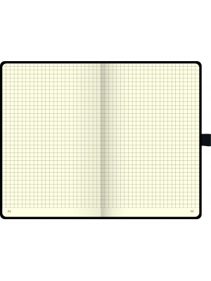 Brunnen Notizbuch Kompagnon 10-55 228 05 kariert