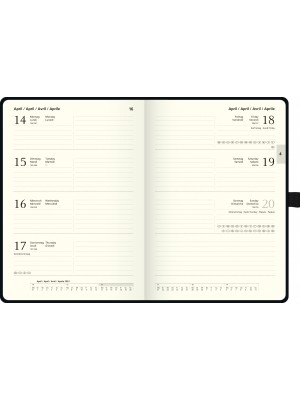 Brunnen Buchkalender Baladek-Einband schwarz Kompagnon 10-791 66 903