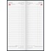 Brunnen Vormerkbuch Tageskalender rot 10-785 02 204