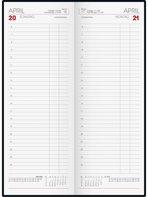 Brunnen Vormerkbuch Tageskalender grün 10-785 02 504
