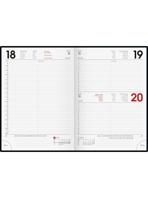Brunnen Buchkalender Balacron-Einband grau 10-795 61 634