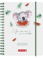 Brunnen Schülerkalender A6 PP-Einband Koala 2022/2023