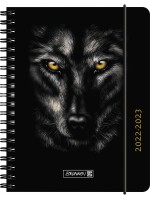 Brunnen Schülerkalender A6 PP-Einband Wolf 2022/2023